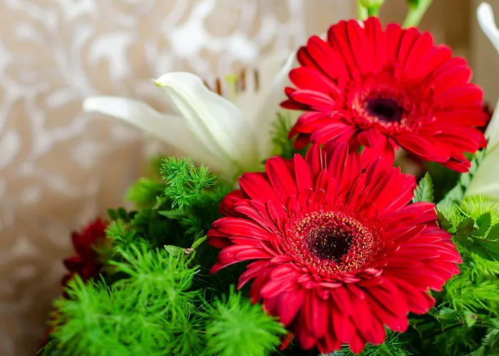 ホテル オテル Lx ロシオ 2*